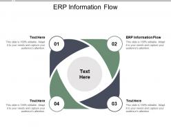 Erp information flow ppt powerpoint presentation outline format cpb