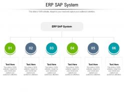 Erp sap system ppt powerpoint presentation pictures graphics download cpb