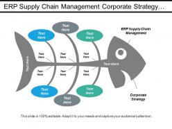 Erp supply chain management corporate strategy financial risk cpb