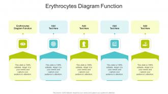 Erythrocytes Diagram Function In Powerpoint And Google Slides Cpb