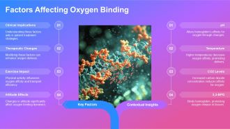 Erythropoiesis And Oxygen Transport PPT Information AT Best Appealing
