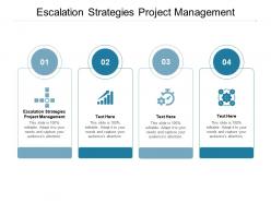 Escalation strategies project management ppt powerpoint presentation styles examples cpb