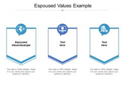 Espoused values example ppt powerpoint presentation infographic template show cpb