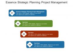 Essence strategic planning project management ppt powerpoint presentation icon structure cpb