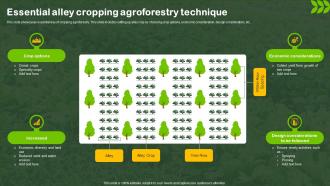 Essential Alley Cropping Agroforestry Technique