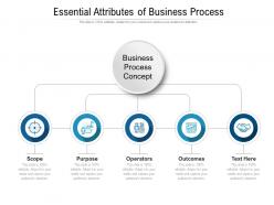 Essential attributes of business process