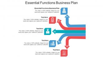 Essential functions business plan ppt powerpoint presentation styles file formats cpb
