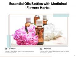Essential Oils Treatment Medicinal Flowers Eucalyptus Representing
