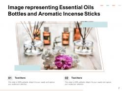 Essential Oils Treatment Medicinal Flowers Eucalyptus Representing