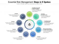 Essential risk management steps in 9 spokes