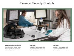 Essential security controls ppt powerpoint presentation file layout ideas cpb