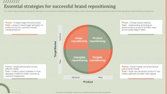 Essential Strategies For Successful Brand Guideline Brand Performance Maintenance Team