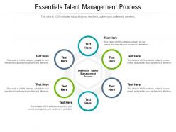 Essentials talent management process ppt powerpoint presentation infographics examples cpb