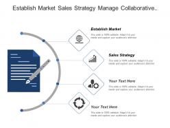 Establish market sales strategy manage collaborative channel forecasting
