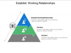 Establish working relationships ppt powerpoint presentation portfolio show cpb