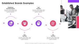 Established Brands Examples In Powerpoint And Google Slides Cpb