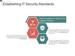 Establishing It Security Standards PPT Example File