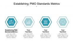 Establishing pmo standards metrics ppt powerpoint presentation inspiration grid cpb