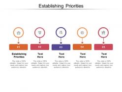 Establishing priorities ppt powerpoint presentation pictures files cpb