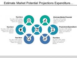 Estimate Market Potential Projections Expenditure Distribution Channels Required
