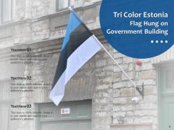 Estonia Flag Fingerprint Marker Hexagonal Historical Monument Individual
