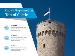 Estonia flag hosted on top of castle