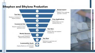 Ethephon And Ethylene Production PPT PowerPoint ST AI SS Ethephon And Ethylene Production PPT PowerPoint ST AI SS