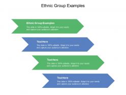 Ethnic group examples ppt powerpoint presentation slides aids cpb