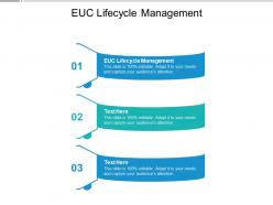 Euc lifecycle management ppt powerpoint presentation professional themes cpb
