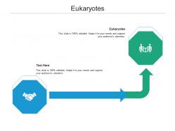 Eukaryotes ppt powerpoint presentation professional themes cpb