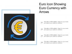 Euro icon showing euro currency with arrows
