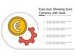 Euro icon showing euro currency with gear