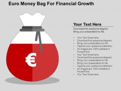Euro money bag for financial growth flat powerpoint design