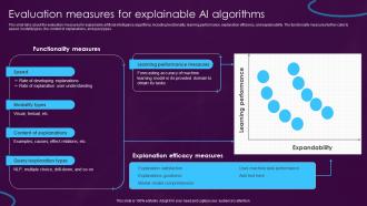 Evaluation Measures For Explainable AI Algorithms Ppt Layouts Guidelines