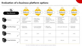 Evaluation Of E Business Platform Options Strategies For Building Strategy SS V