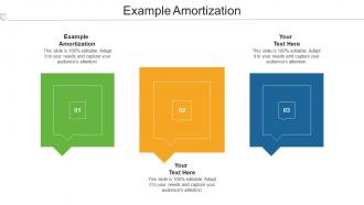 Example Amortization Ppt Powerpoint Presentation Infographic Template Infographic Cpb