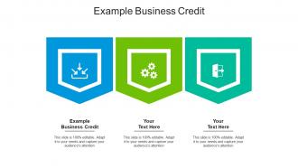 Example business credit ppt powerpoint presentation portfolio slide download cpb