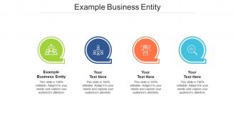 Example business entity ppt powerpoint presentation model infographic template cpb