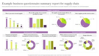 Example Business Questionnaire Summary Report For Supply Chain Survey SS