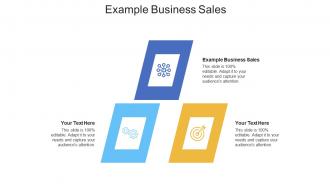 Example business sales ppt powerpoint presentation infographics maker cpb