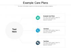 Example care plans ppt powerpoint presentation summary cpb