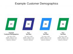 Example customer demographics ppt powerpoint presentation file templates cpb