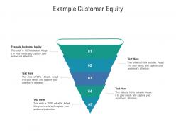 Example customer equity ppt powerpoint presentation infographic template show cpb