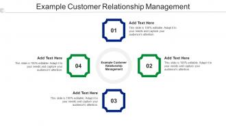 Example Customer Relationship Management Ppt Powerpoint Presentation Outline Slideshow Cpb