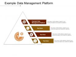 Example data management platform ppt powerpoint presentation layouts example cpb