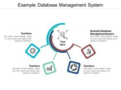 Example database management system ppt powerpoint presentation show inspiration cpb