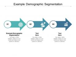 Example demographic segmentation ppt powerpoint presentation ideas cpb