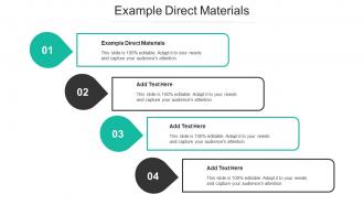 Example Direct Materials Ppt Powerpoint Presentation Portfolio Elements Cpb