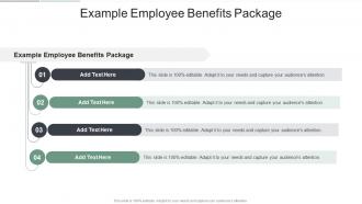 Example Employee Benefits Package In Powerpoint And Google Slides Cpb