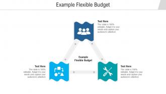 Example flexible budget ppt powerpoint presentation gallery infographics cpb